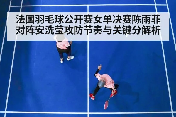 法国羽毛球公开赛女单决赛陈雨菲对阵安洗莹攻防节奏与关键分解析